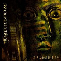 Neglected Fields - Splenetic